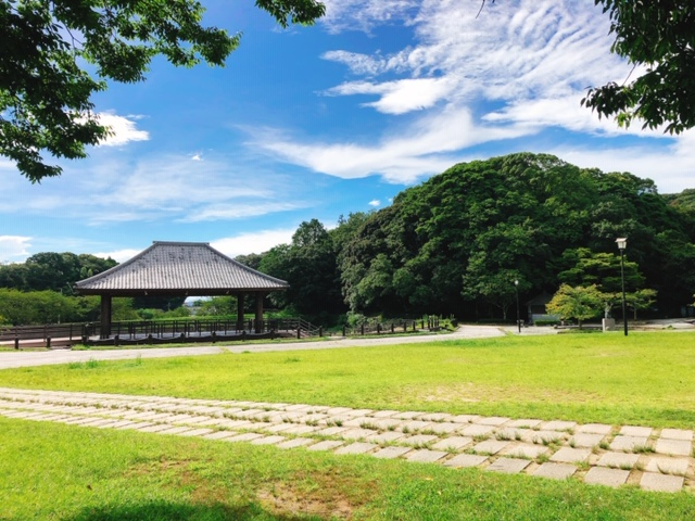 山登り